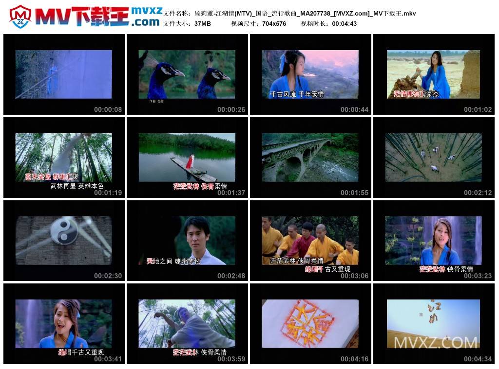 顾莉雅-江湖情(MTV)_国语_流行歌曲_MA207738